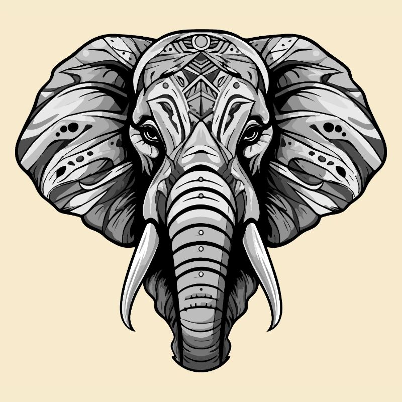 Elefant Kopf