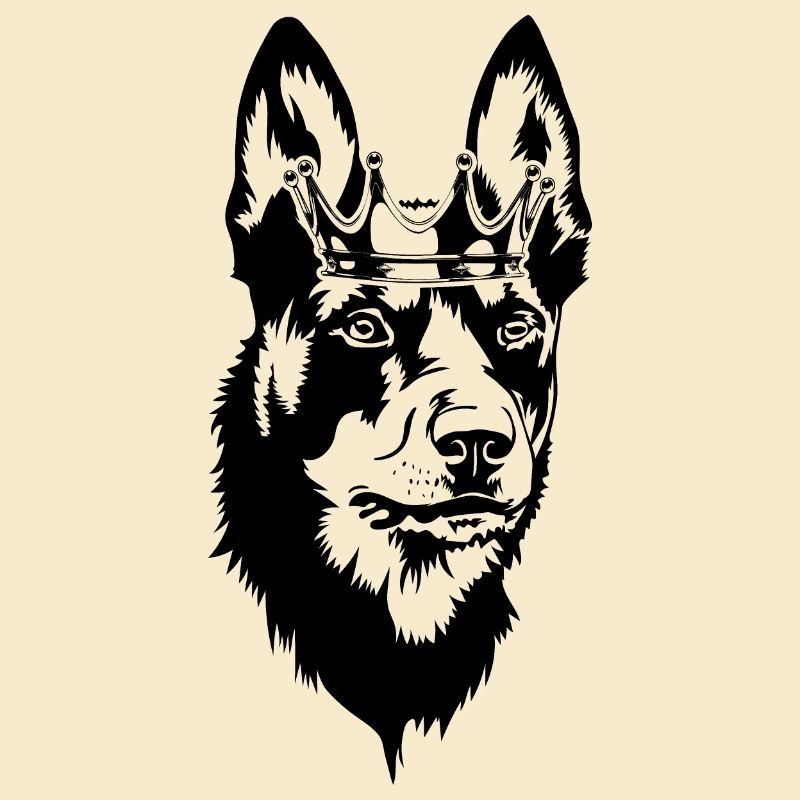 Kelpie australien Crown Dogs Wilsigns