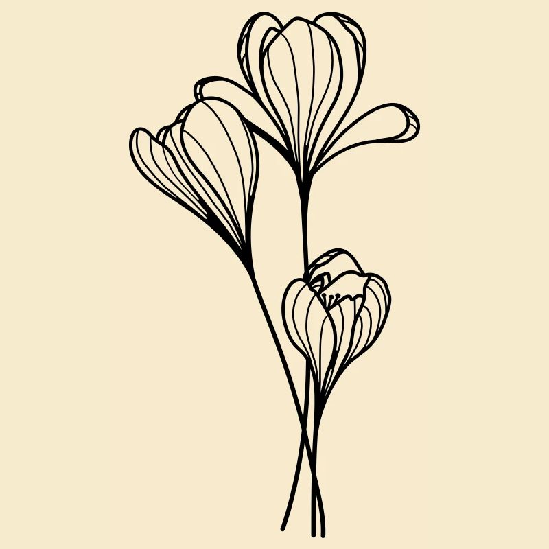 Fleur de crocus