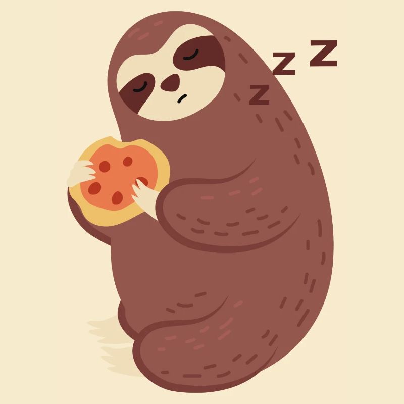 Sloth Eating and Sleeping Cute Sloth Animal