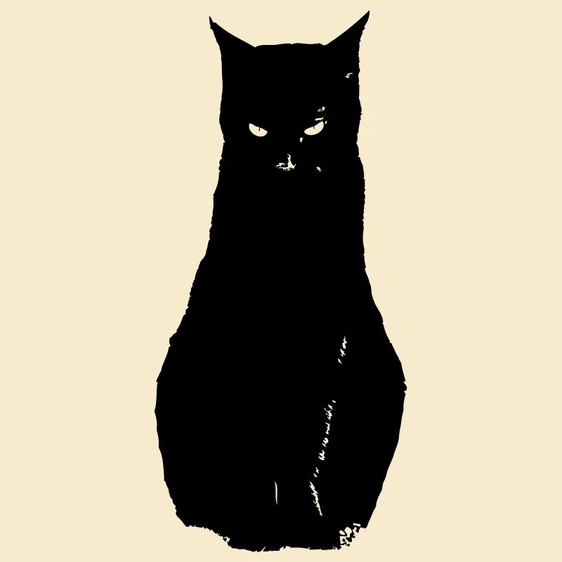 Chat noir, black cat