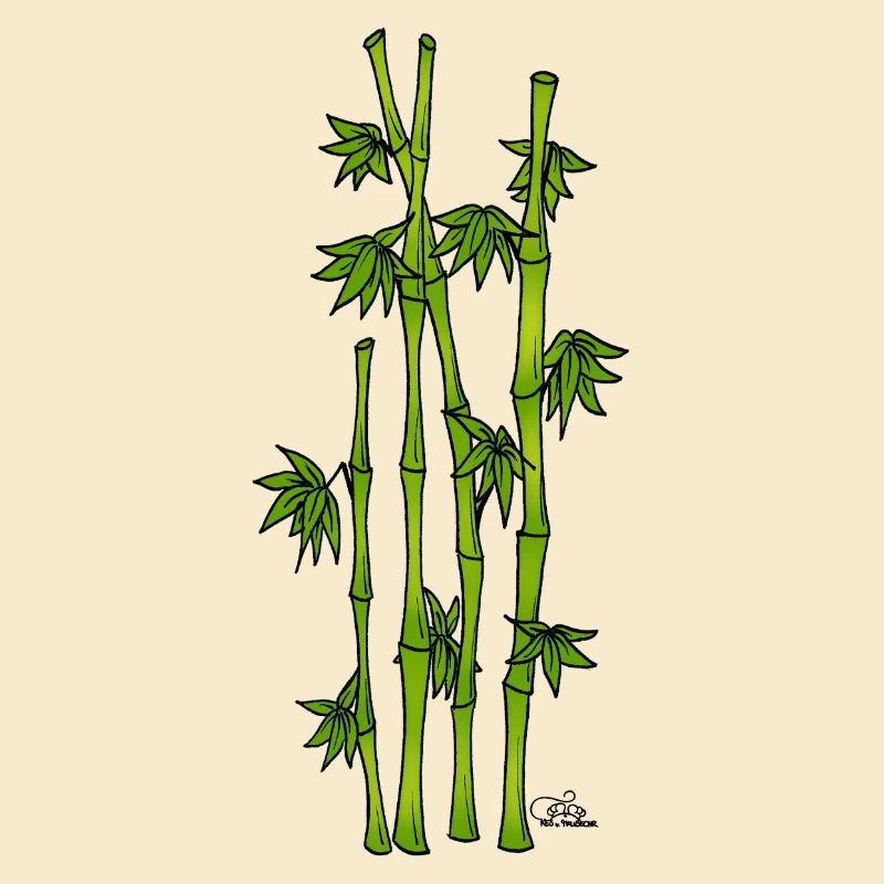Simply Bamboo