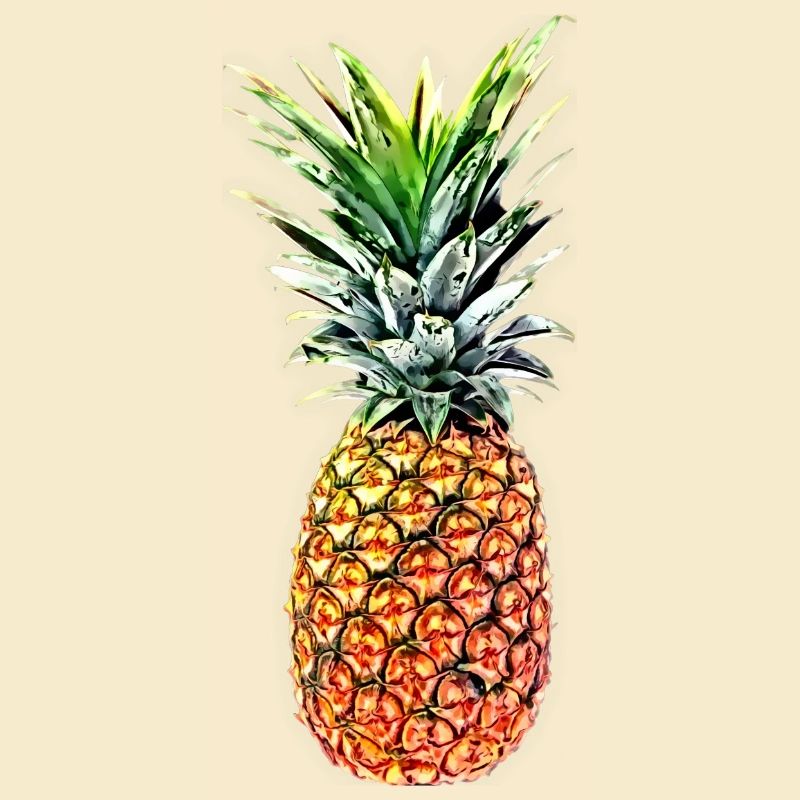 Ananas princesse