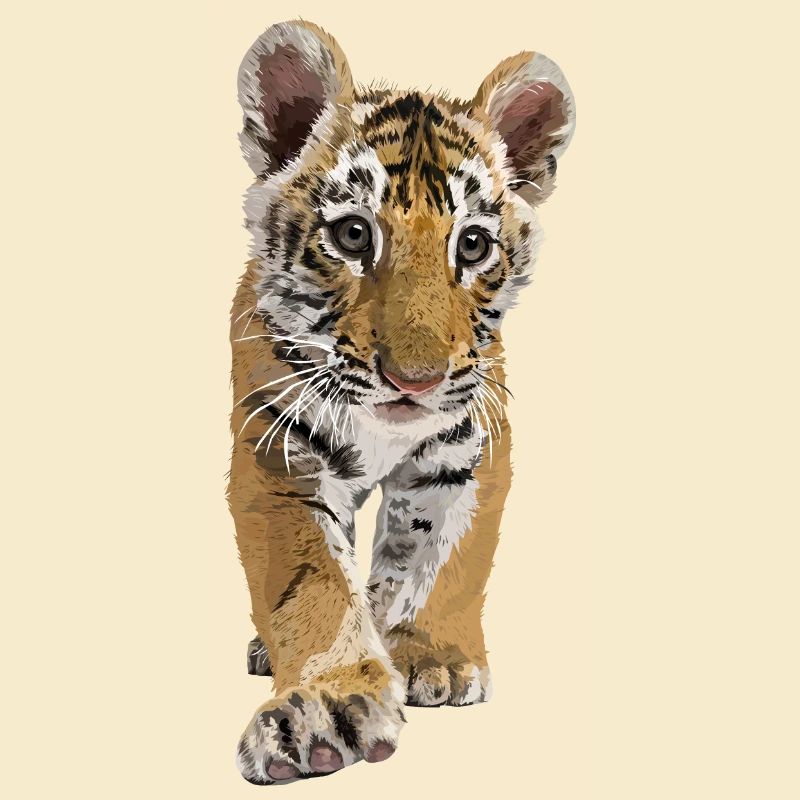 bengalischer Tiger