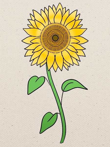 Sonnenblume