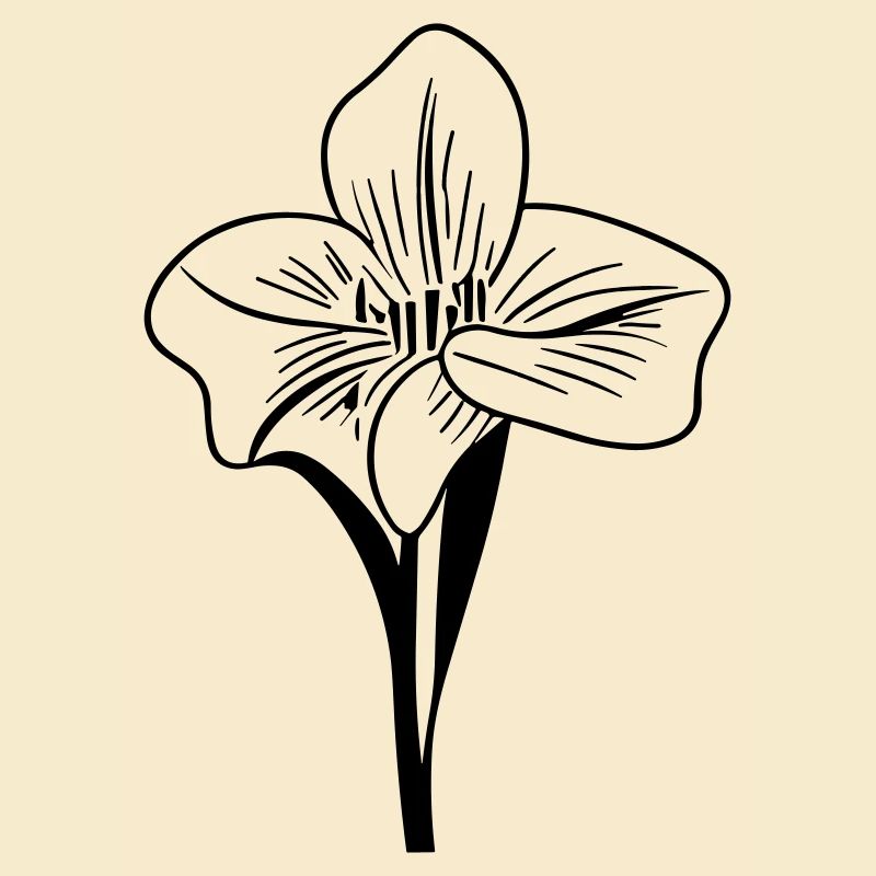 Blume