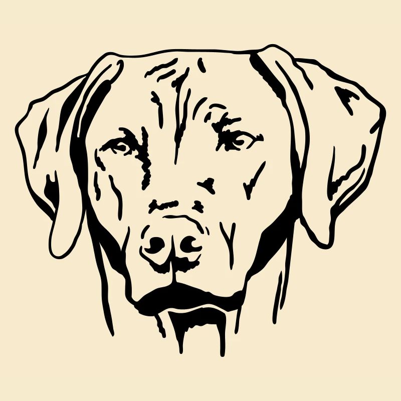 Rhodesian Ridgeback