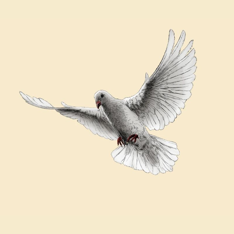 Dove