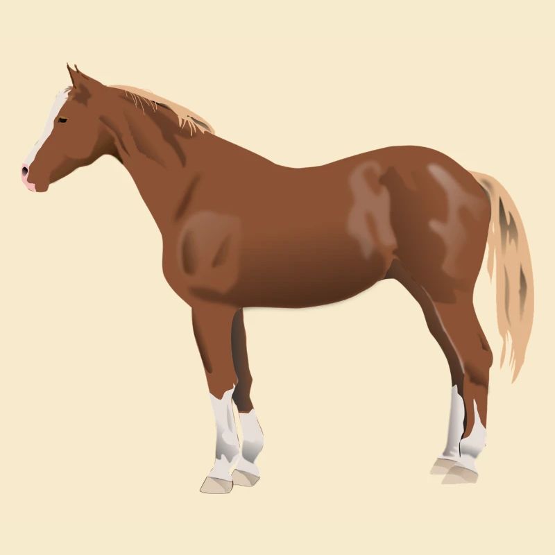 cheval