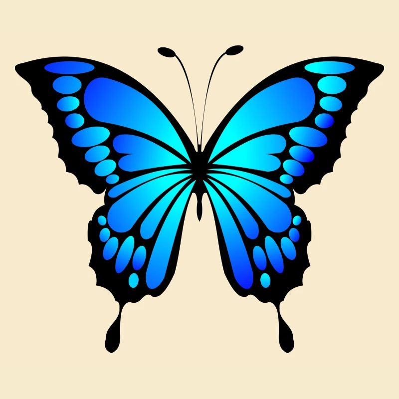 Schmetterling