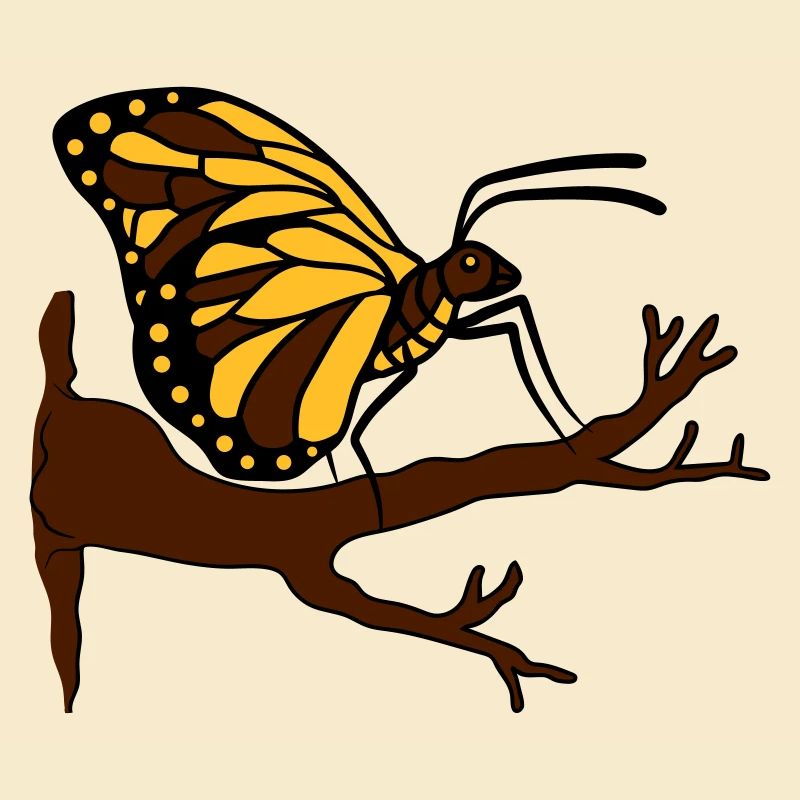butterfly on branch tree forest insect wing