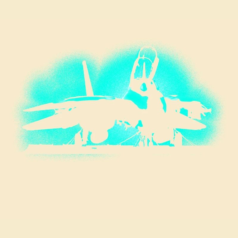 Jet Tomcat