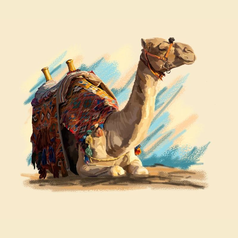 Camel