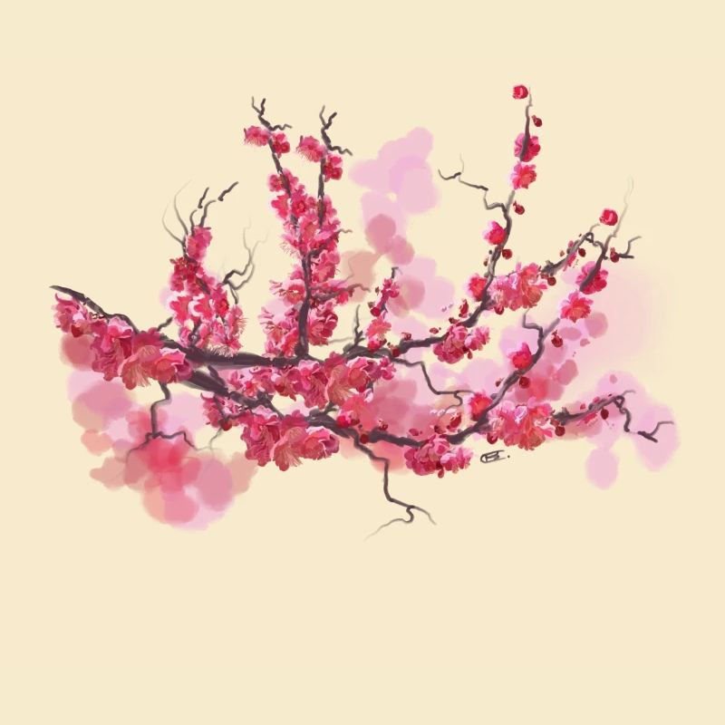 sakura