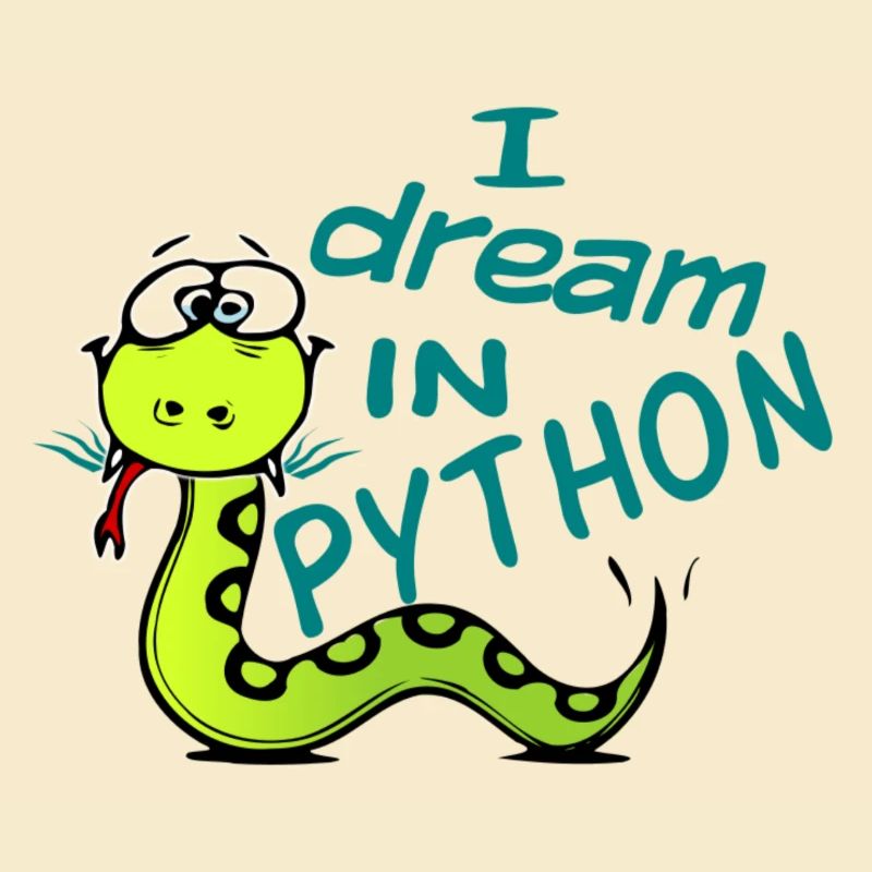 Programmeur Python