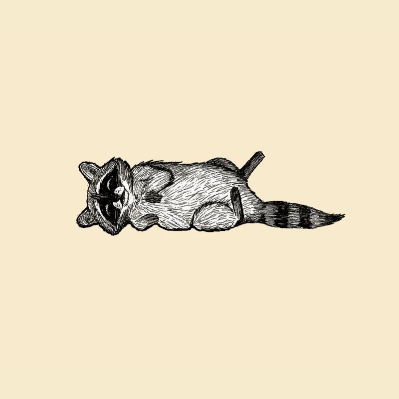 Waschbär
