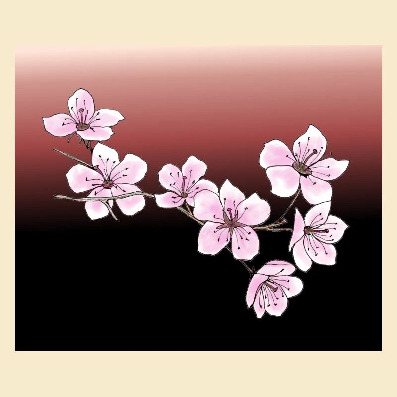 Kirschblüten
