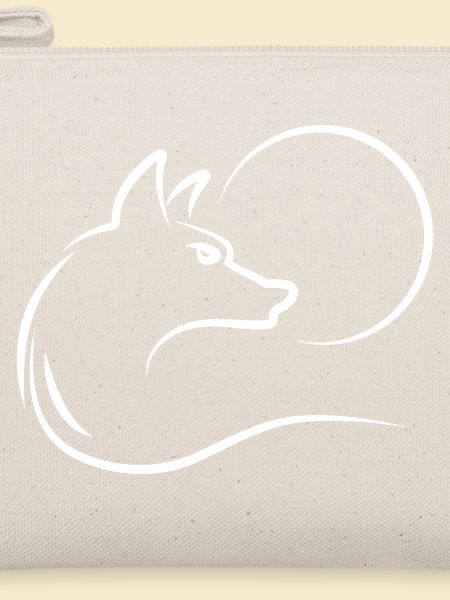 Wolf at full moon