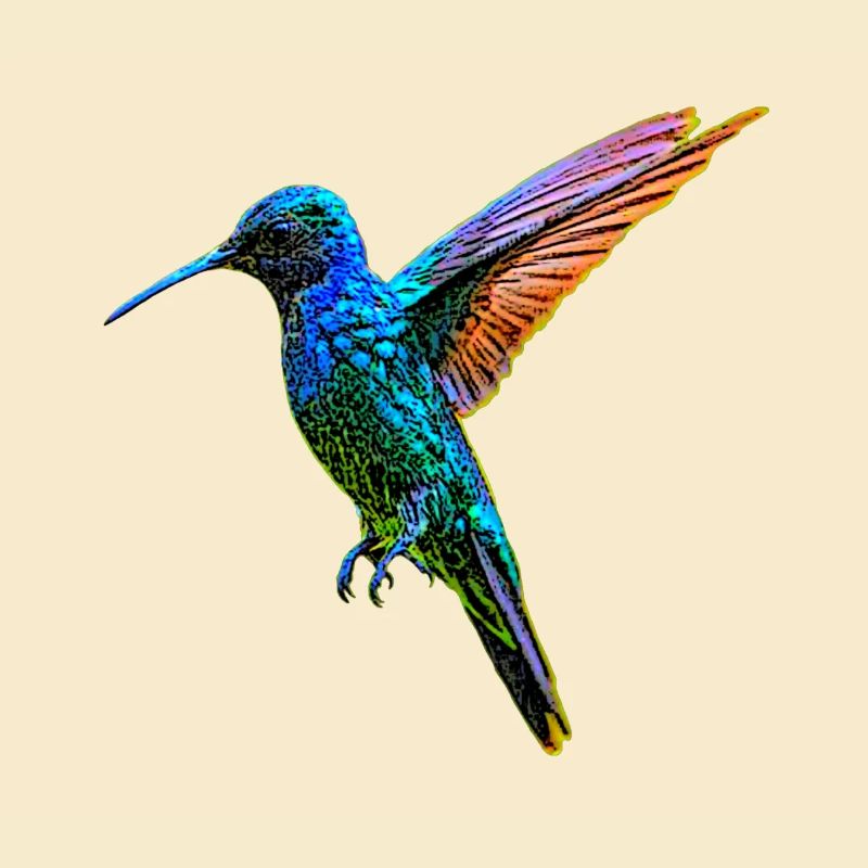 Kolibri