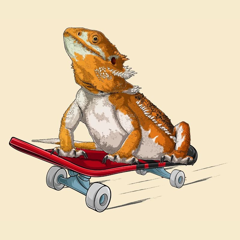 Bartdrache auf einem Skateboard