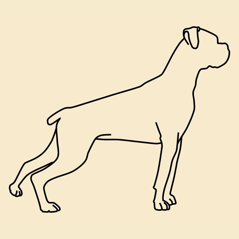 boxer lineart 1