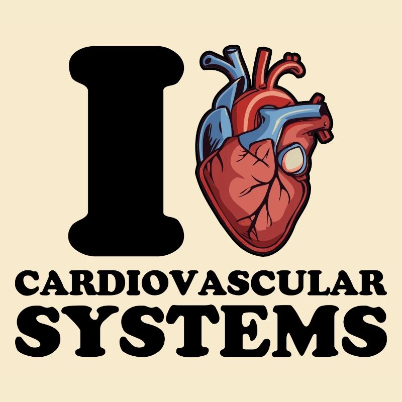 I love cardiovascular systems
