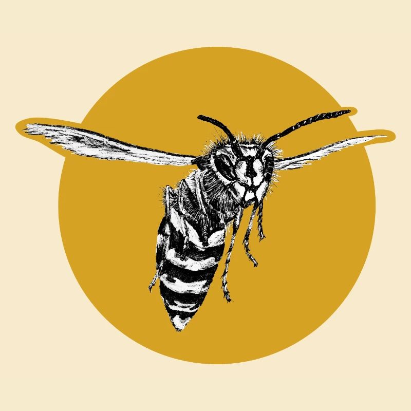 Wasp - Bee - Insect