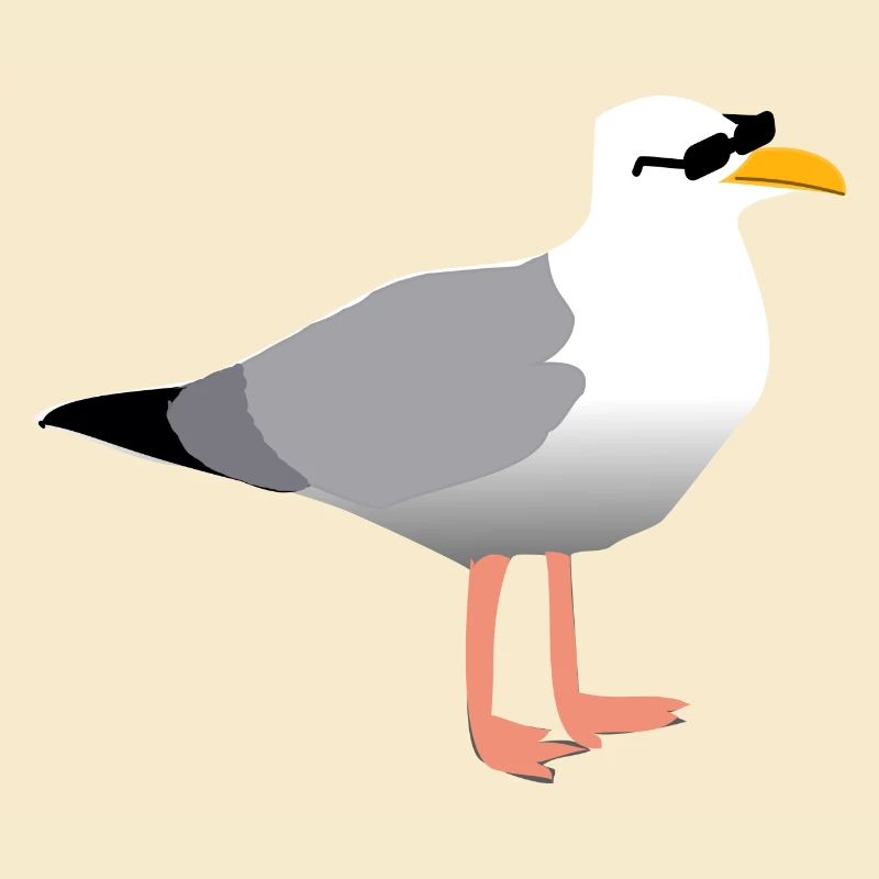 cool seagull