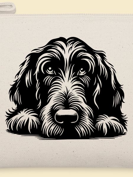 Spinone Italiano Kopf mit Pfoten