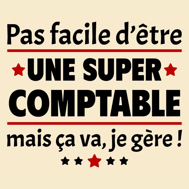 Pas facile d'être une super comptable, cadeau noël