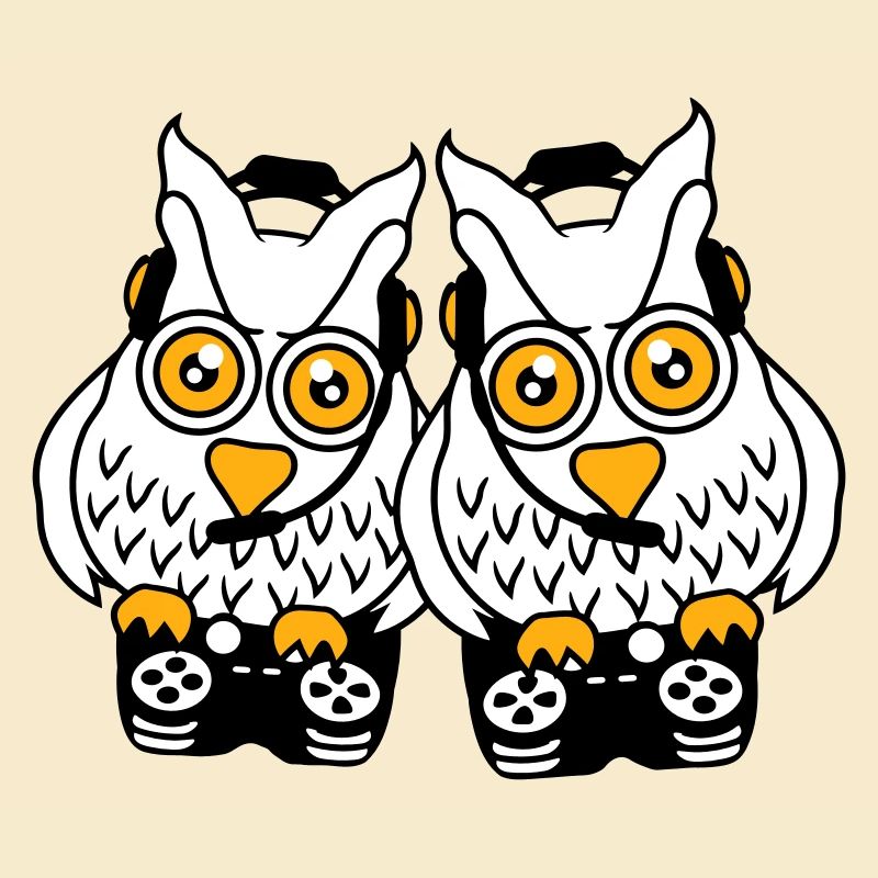 2 Gamer Owls Play Team Friends Two Player Duo