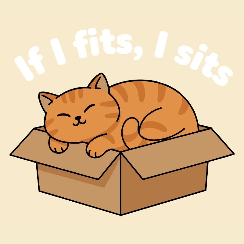 Katzenschnurren im Karton Meme