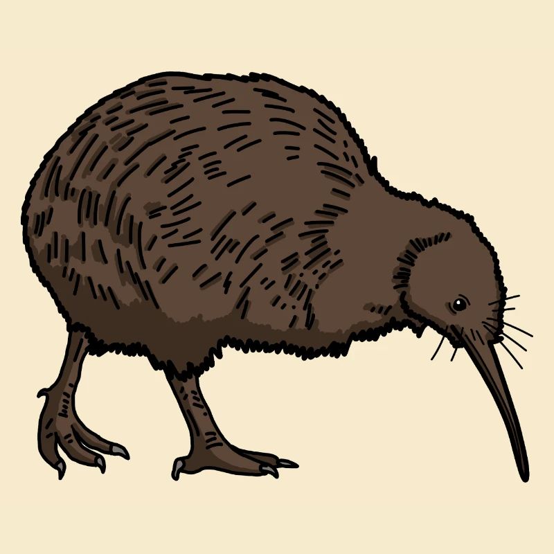 Kiwi Vogel