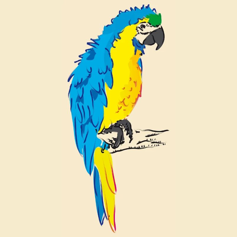 Ara perroquet jaune, dessin bleu