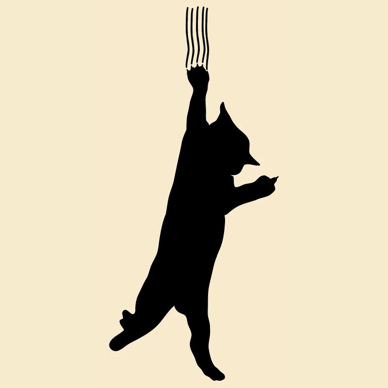 Katze
