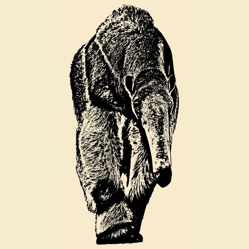 Ameisenbaer