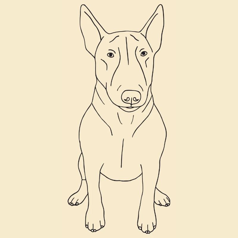 Bullterrier