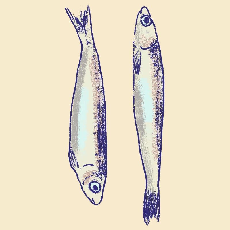 Zwei Sardinen