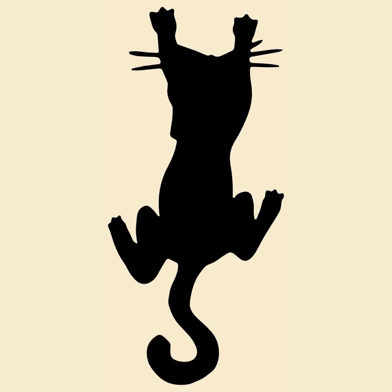 Chat drôle / chat drôle - griffe - amour de chat