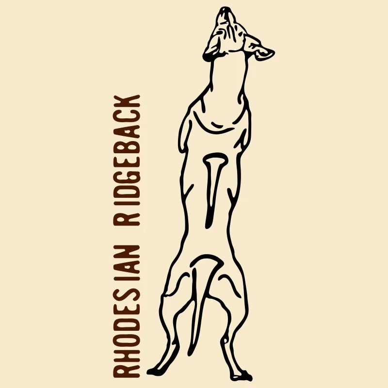 Rhodesian Ridgeback back