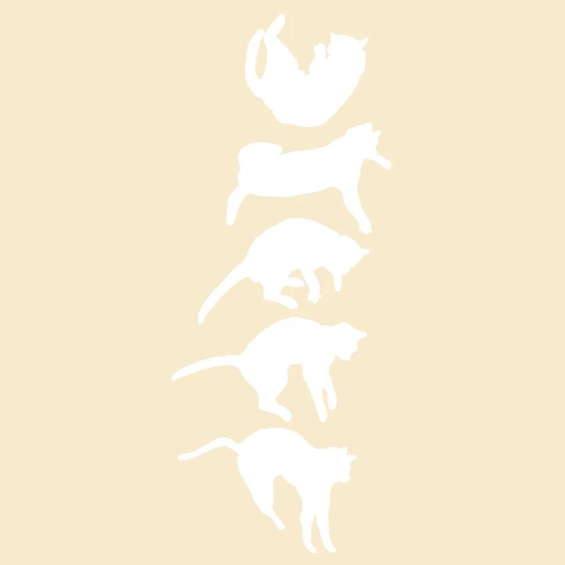 Réflexe de redressement du chat qui tombe