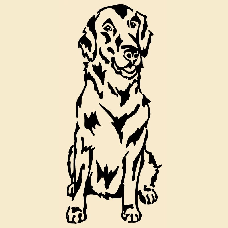 Flat Coated Retriever