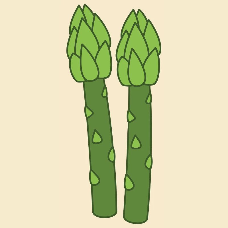 Spargel