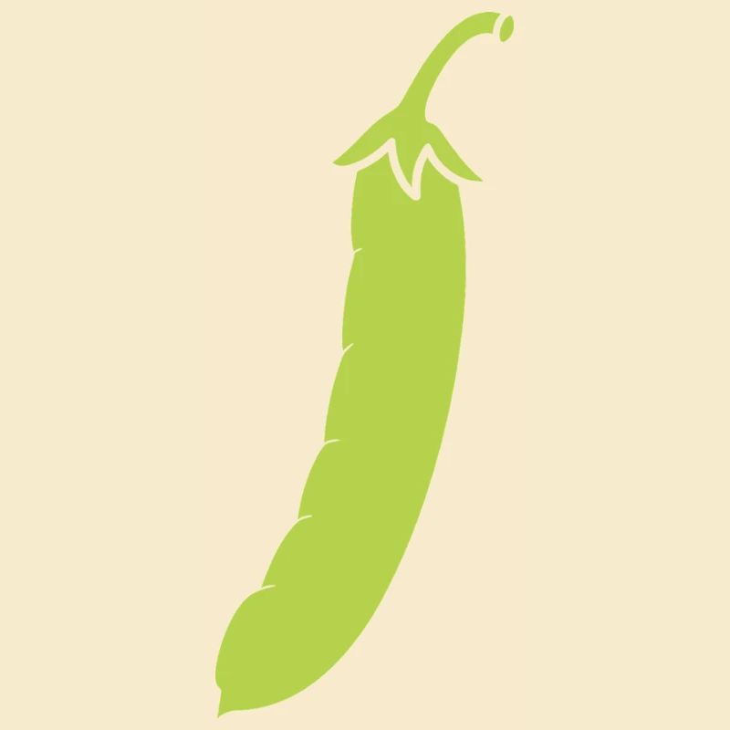 haricot vert