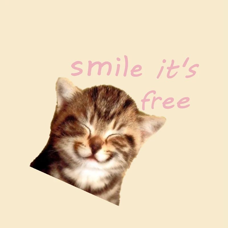 un chaton