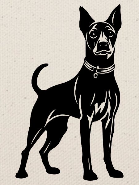 Pinscher Hund