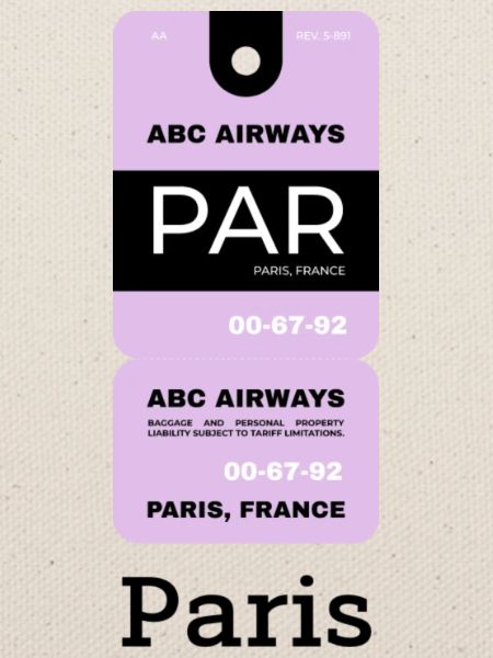 Paris Flight Ticket