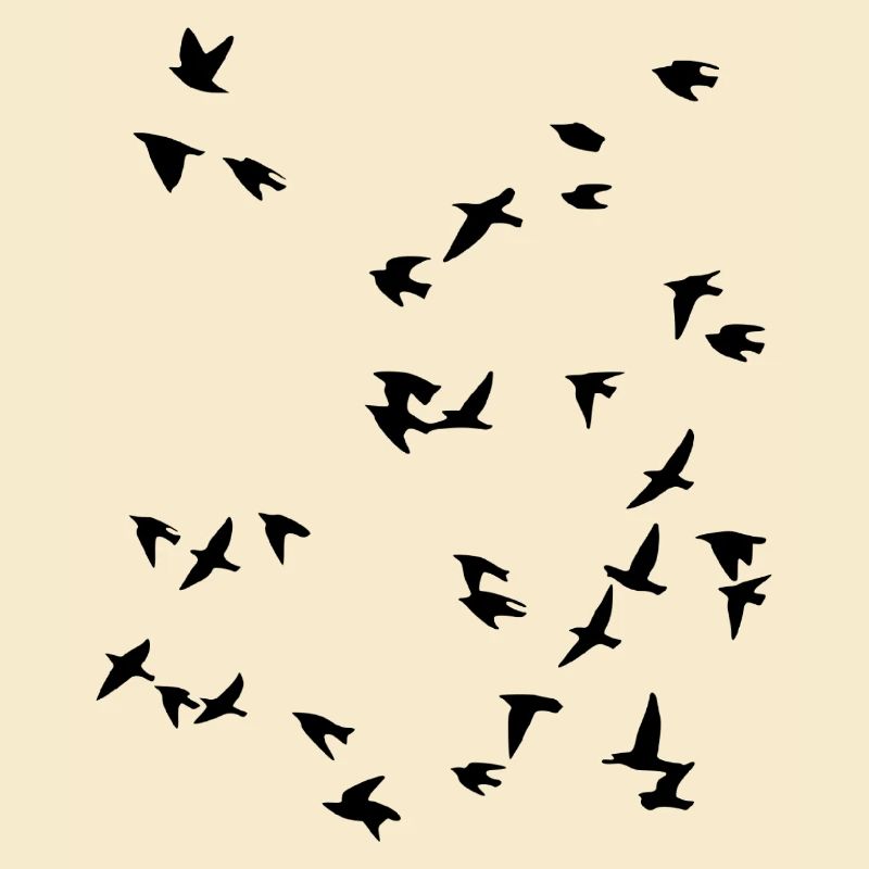 Vogel Schwarm Fliegen