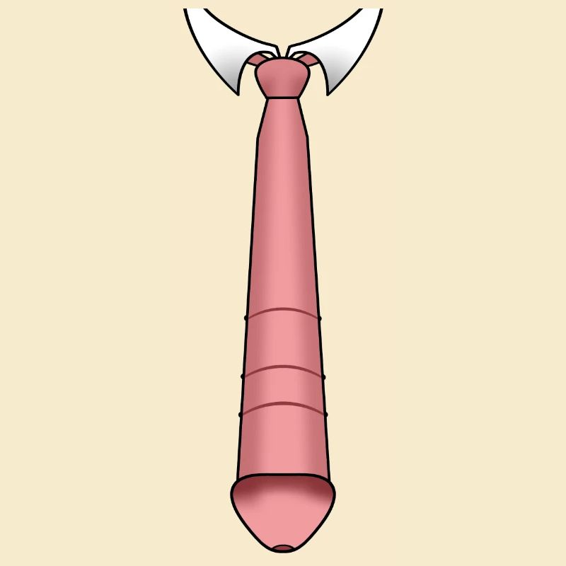 cravate - tie