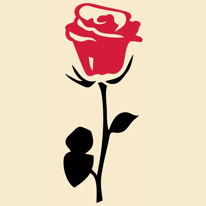 rose fleur